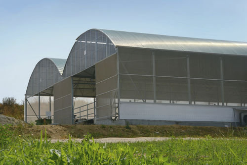 ����� ��� ����� LIVESTOCK FARM ��������� ���������� �������� �����������