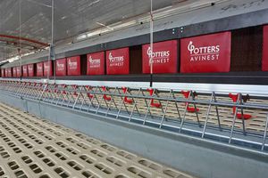 POTTERS POULTRY LTD : �������������� -