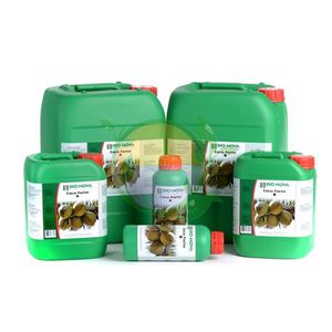 ����������� ��������� Nutri Forte A+B � ��������������� �������� ������������ ������