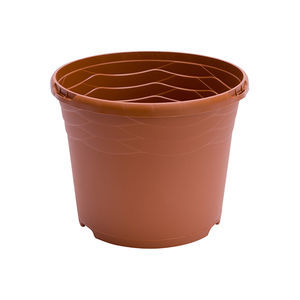 Thomsen S.A. : ����������� -