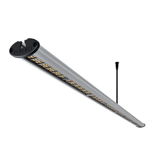 ��������� ��� ��������������� RAY 22 LED �����������