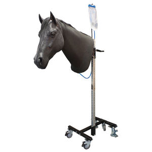 Veterinary Simulator Industries Ltd. : �������������� -