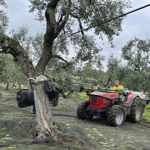 �������� ��� ����� ������ ��� ������ RC ��� ��������� �� ������� ��������������