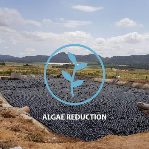 �������� �������� ��� ���������� ALGAE Control ��� �������������� ��� ������ ��� ������ ��� ����������� ������� ������� ���