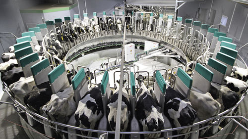 ��������� ��� ����� ��� ����� DairyProQ ���������� ������� ����� ����������������