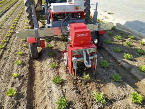 DRIMAC Srl : �������������������� ������ -