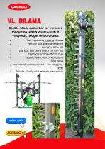 ������� ������ � ������� ����� VL. BILAMA �� �����