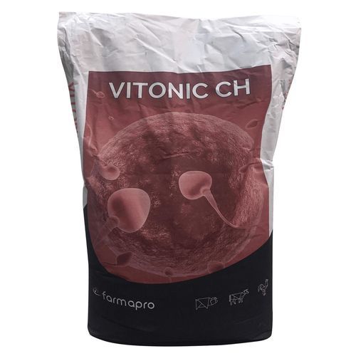 ������� �������� ������������ Vitonic ��� ������� �����