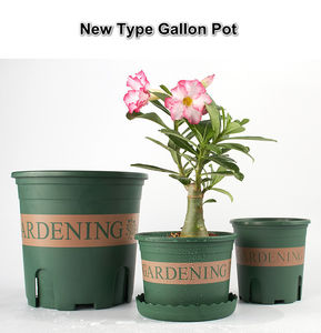 ������ �� �������� Air Pruning �� ��� ������� ������