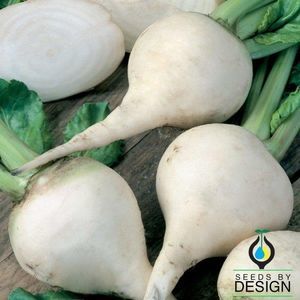 Seeds by Design : ������ � ������ ������� -