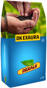 ���������� ������ ������ DK_EXAURA ���������� � ������ ��������� ���������� � ���������
