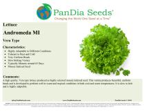 ������ ������-������ ���������� � ������� ANDROMEDA MI