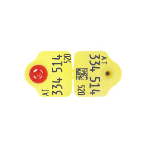 Caisley International GmbH : �������������� -