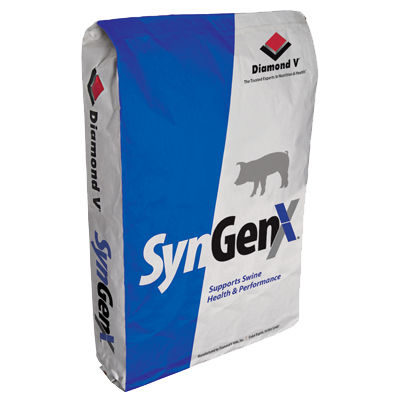�������� ������� ��� �������� SynGenX� ��� ������� � �������� �����