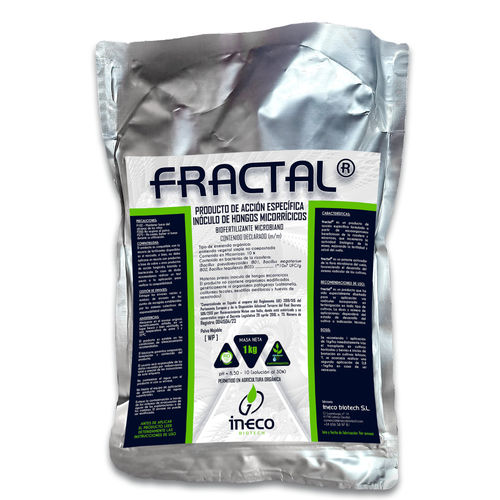 ������������ ��������� Fractal ������������� ��������������� ������������ ������