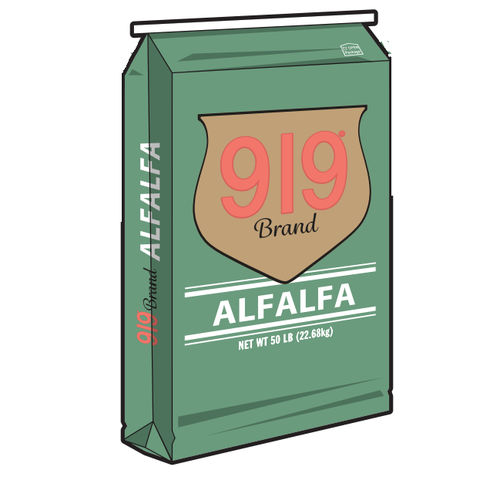 ���� ������� 919 Brand ������ ��������� ����������������
