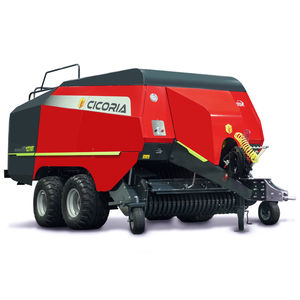 CICORIA Srl : �������������������� ������ -