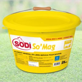 ������� ��� �������� �������� ����� SodiSo'Mag � ��������������� � ������� � ��������