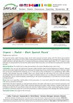 ������� ������ ������ Black Spanish Round ������ ������������ ������