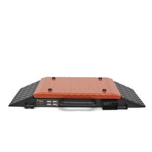 Celmi Weighing Technology : ���������� ���������� -