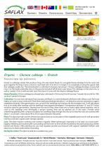 ���������� ������ ������� Granat ������������ ������