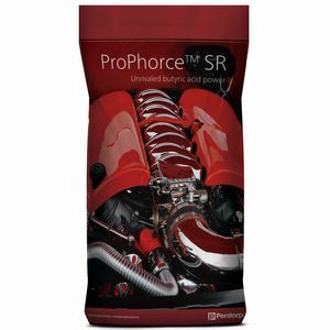 Perstorp Animal Nutrition : �������������� -