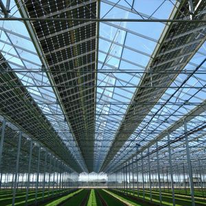 ������� ����� Activenlo� � ����������� ������� �� ������