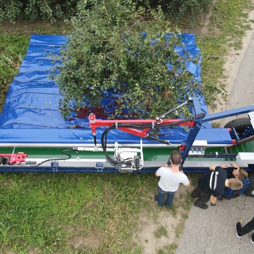 �������� ��� ����� ������ ��� ������ G-004 ��� ��������� �� ������� �������������� ������ ���