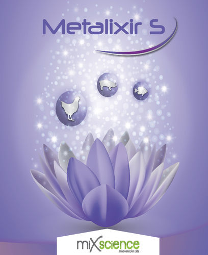 �������� ������� ��� �������� Metalixir S ��� ������� ����� ��� ������ �� ��������