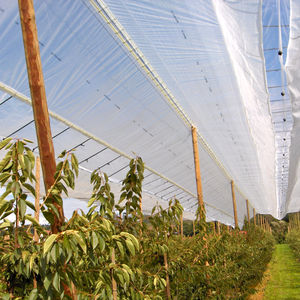 ����� ��� ������ �� ����� ���������� ��� ������ � ���������� �� ����