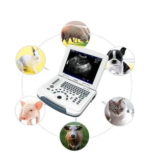 Dawei Veterinary Medical (jiangsu) co., ltd. : �������������� -