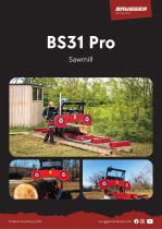��������� �������� BS31Pro �������������� ������������ �������������