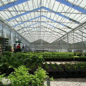 Cravo Equipment Ltd : ����������� -