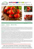 ������� ������ ������� Berner Rose ������� ������������ ������