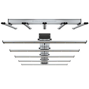 ��������� ��� ��������������� RAY 22 LED �����������