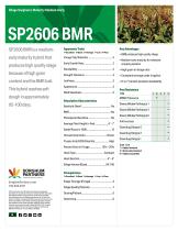 ���������� ������ ����� SP2606 BMR ��� ����������� ���������� � ������� ���������