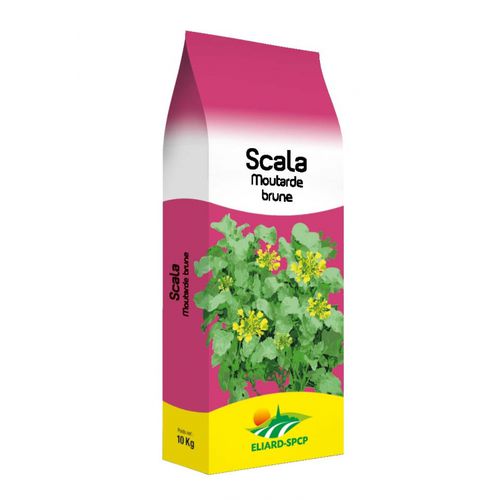 ������������ ������ ������� Scala ��� ���������������� ������ ��� ����������� ����� ��������� CIPAN