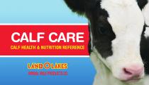 �������� ������� ��� �������� Calf Insure� ��� ����� �������� ��������
