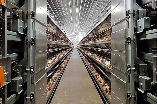 ������ �������������� ������� ������������� ���� FC-V feed cart ��� �������� �����