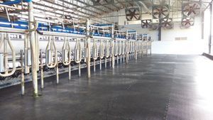 ������ �� ������� ComfortMat Z 20/0 ��� ��������������������� ������ ������� ����� ���� ��� ��������� �����