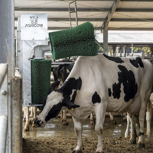 AGRICOW : �������������������� ��������� -