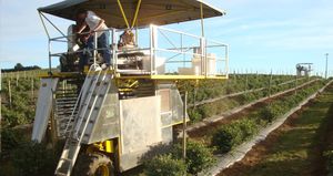 Littau Harvester Inc. : �������������������� ������ -