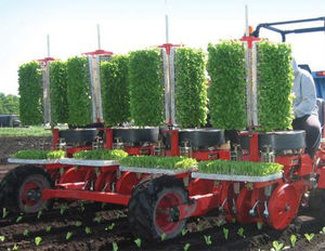 ROJ srl : ���������� ���������� -
