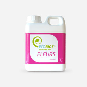 ����������� ��������� ���� �������� ��� ������