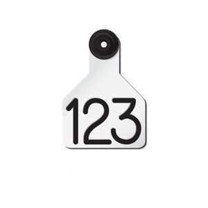 Ritchey Livestock ID : �������������� -