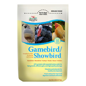 �������� ������� ��� �������� Chick Starter Medicated ��� �������� ����� �������� ��������
