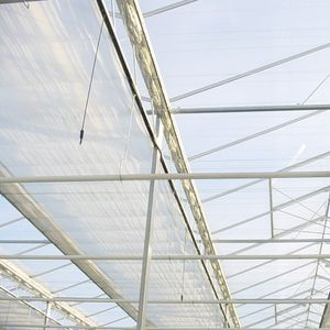 Ammerlaan Constructions BV : ����������� -