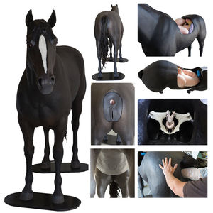 Veterinary Simulator Industries Ltd. : �������������� -