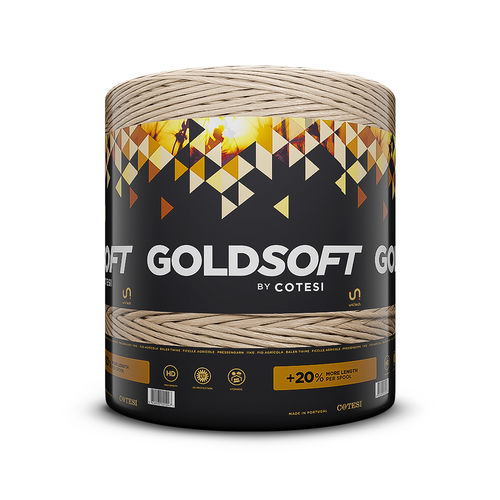 ���� ��� ��������� ��������� ��� ����� Goldsoft �� ������������� ������� ��������� � ������� �� ��-���������