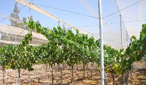 ������� � ����������� ������� R- MTT96,R- MTT112,R- MTT128 �� �������� � ����������� �������